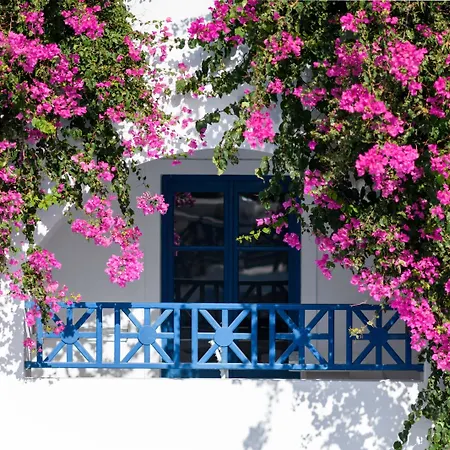 Veggera Resort
